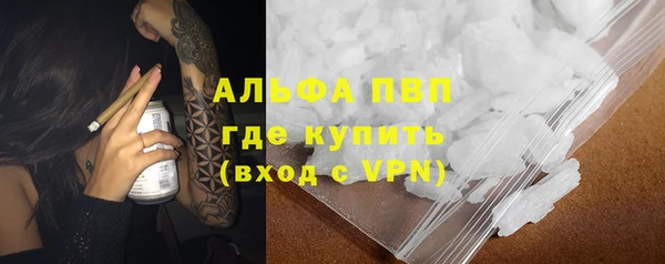 мяу мяу мука Арсеньев