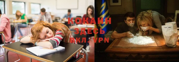 мяу мяу мука Арсеньев