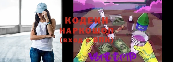 ешки Аркадак