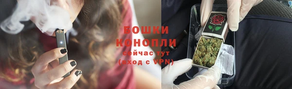 ешки Аркадак