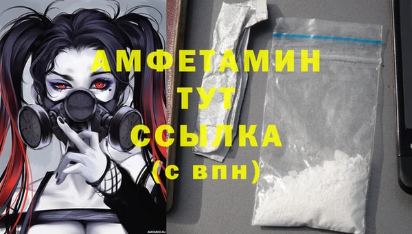 ешки Аркадак