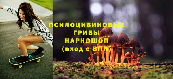 ешки Аркадак