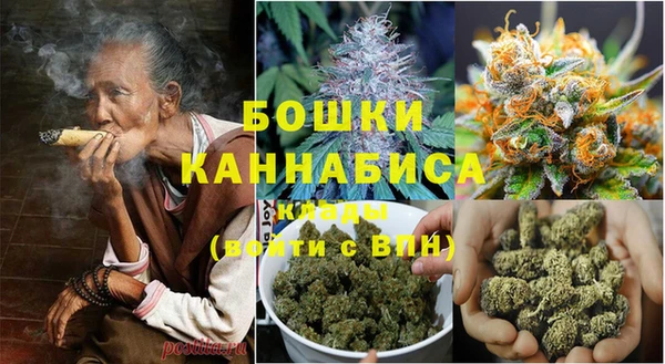 стафф Гусев