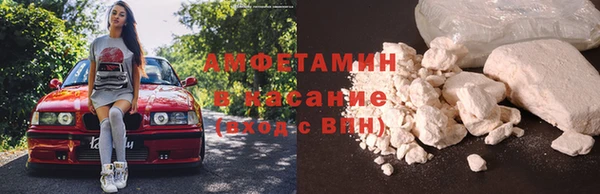 ешки Аркадак