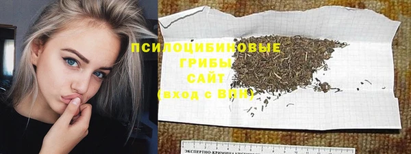мяу мяу мука Арсеньев