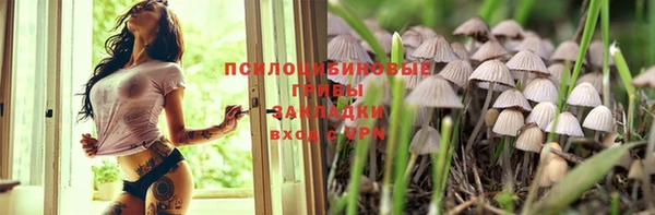 ешки Аркадак